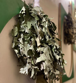 Біля каміна біля Оперного відгуки, лазня/сауна Дніпро центральний район вул. Фабра, 4, фото, адреса з картою проїзду.