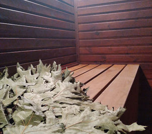 Біля каміна біля Оперного відгуки, лазня/сауна Дніпро центральний район вул. Фабра, 4, фото, адреса з картою проїзду.