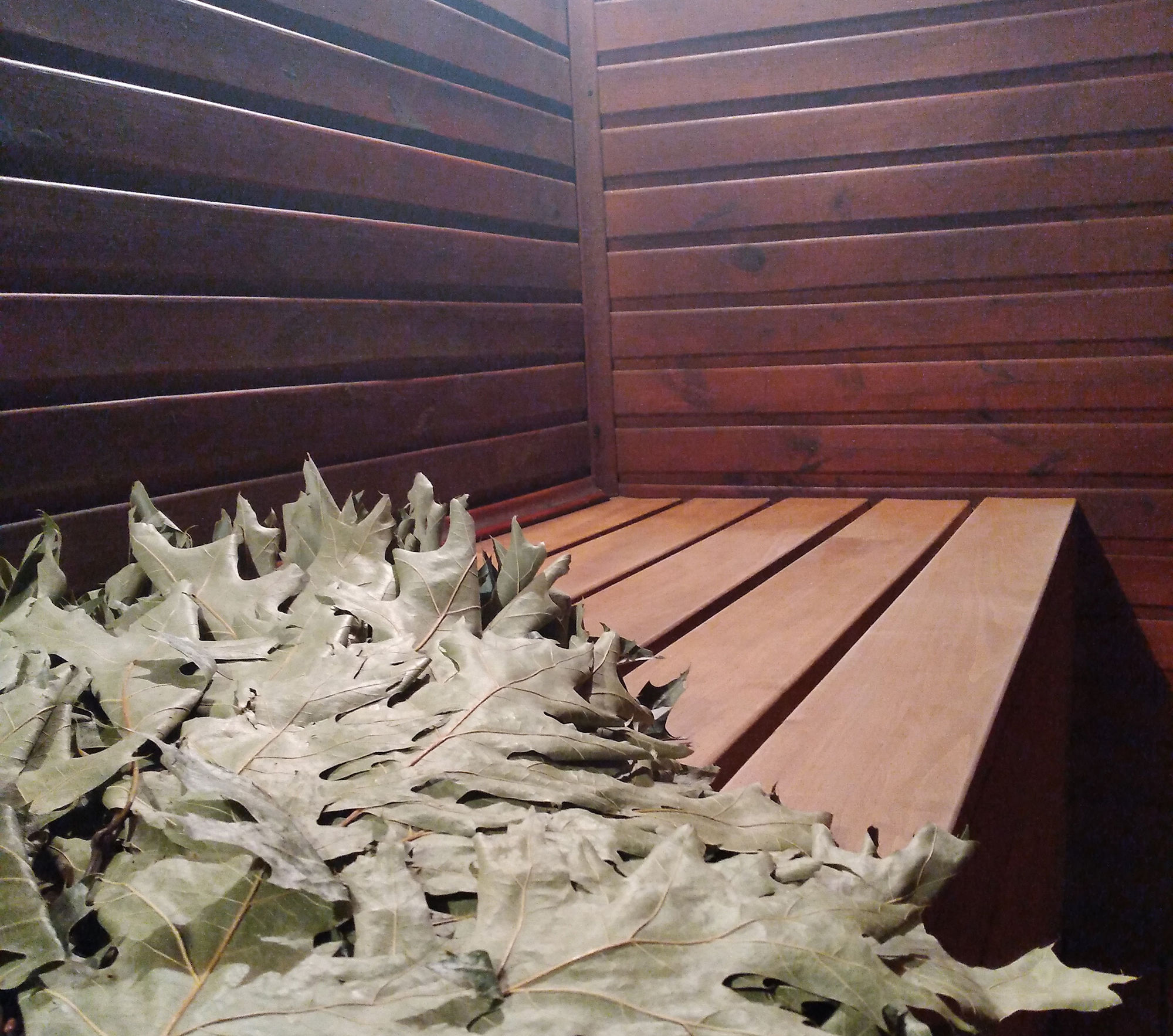 Біля каміна біля Оперного відгуки, лазня/сауна Дніпро центральний район вул. Фабра, 4, фото, адреса з картою проїзду.